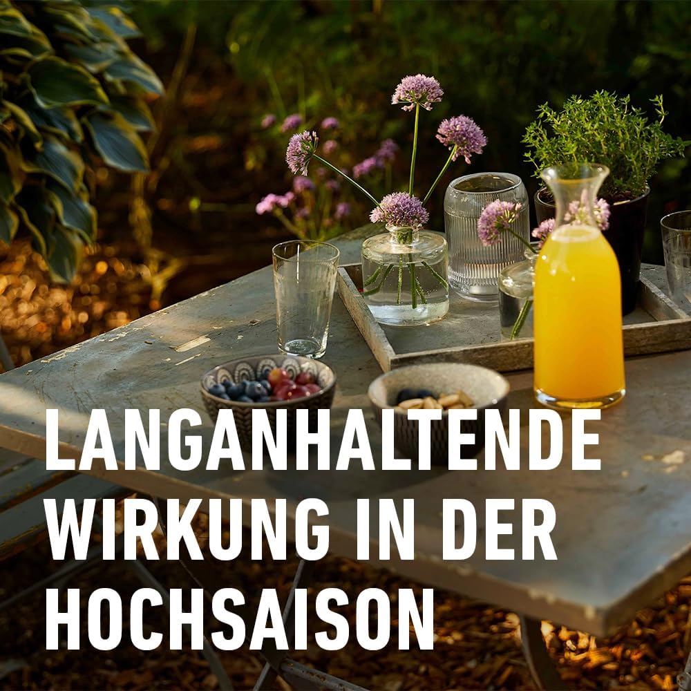 COMPO Wespen Schaum-Gel Spray – Wespenspray mit Sprührohr – wirkt gegen Wespen und Wespennester – Sofort- und Langzeitwirkung – Wespenschaum als Wespenspray – 500 ml